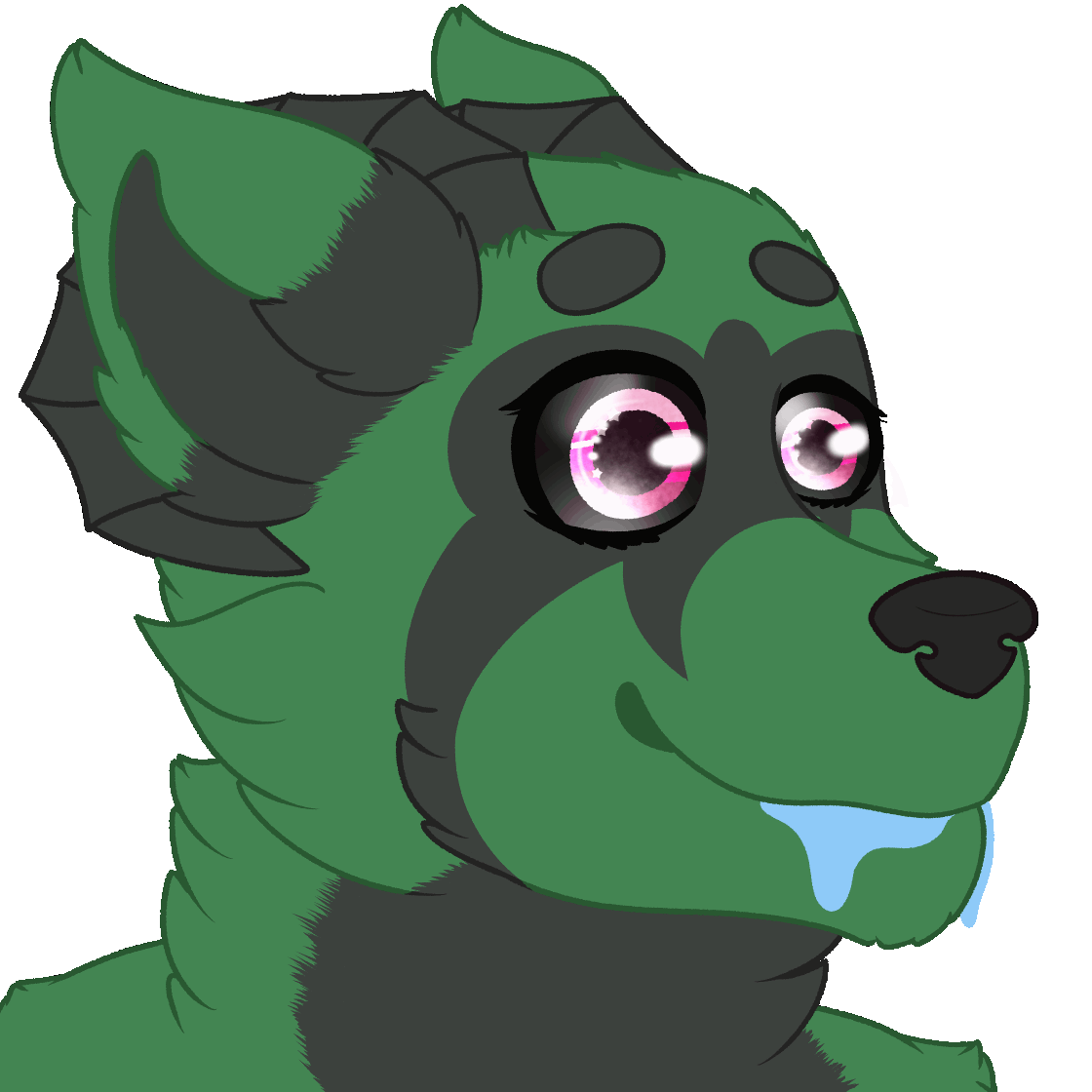 Aysa Drool