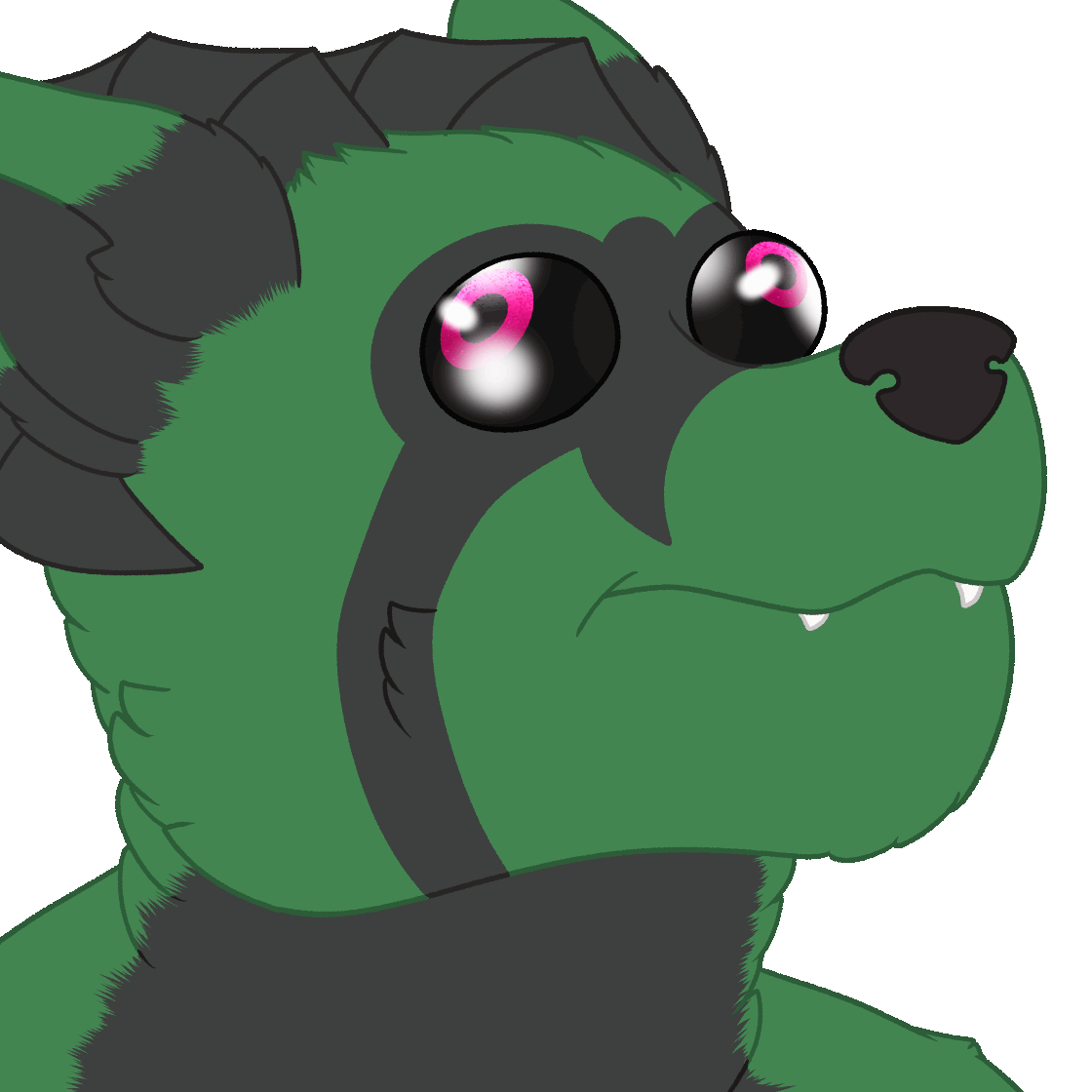 Aysa Bark