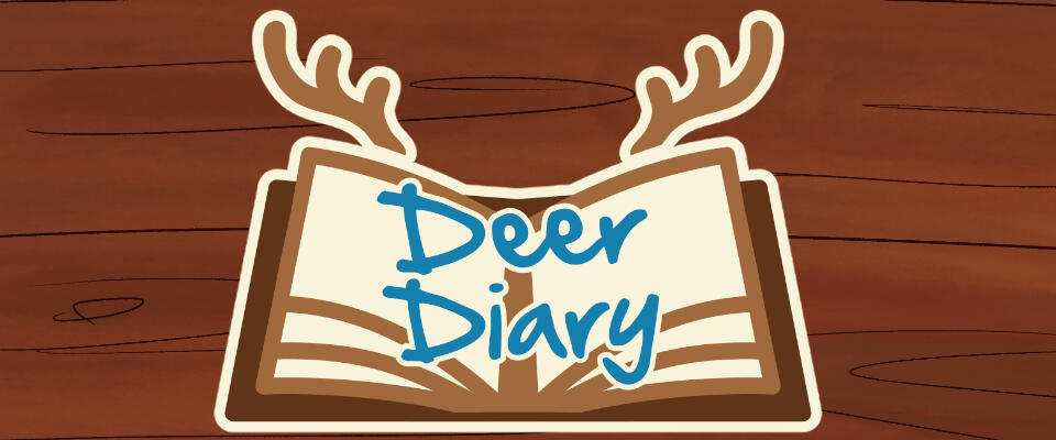 Deer Diary - Foley, Sound Design, Dialogue Editor/Mixer